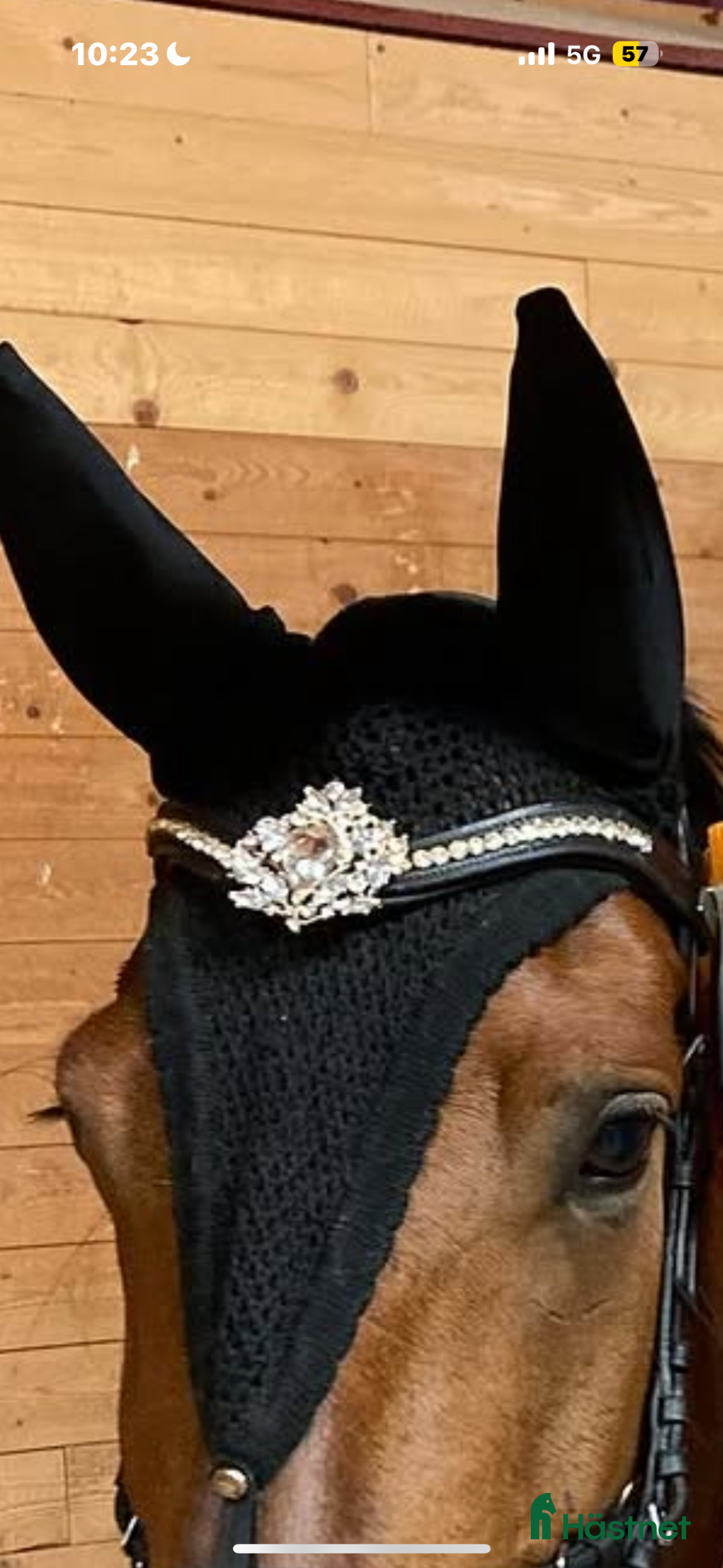 Träns hästutrustning Två divoyh pannband - Annons 2