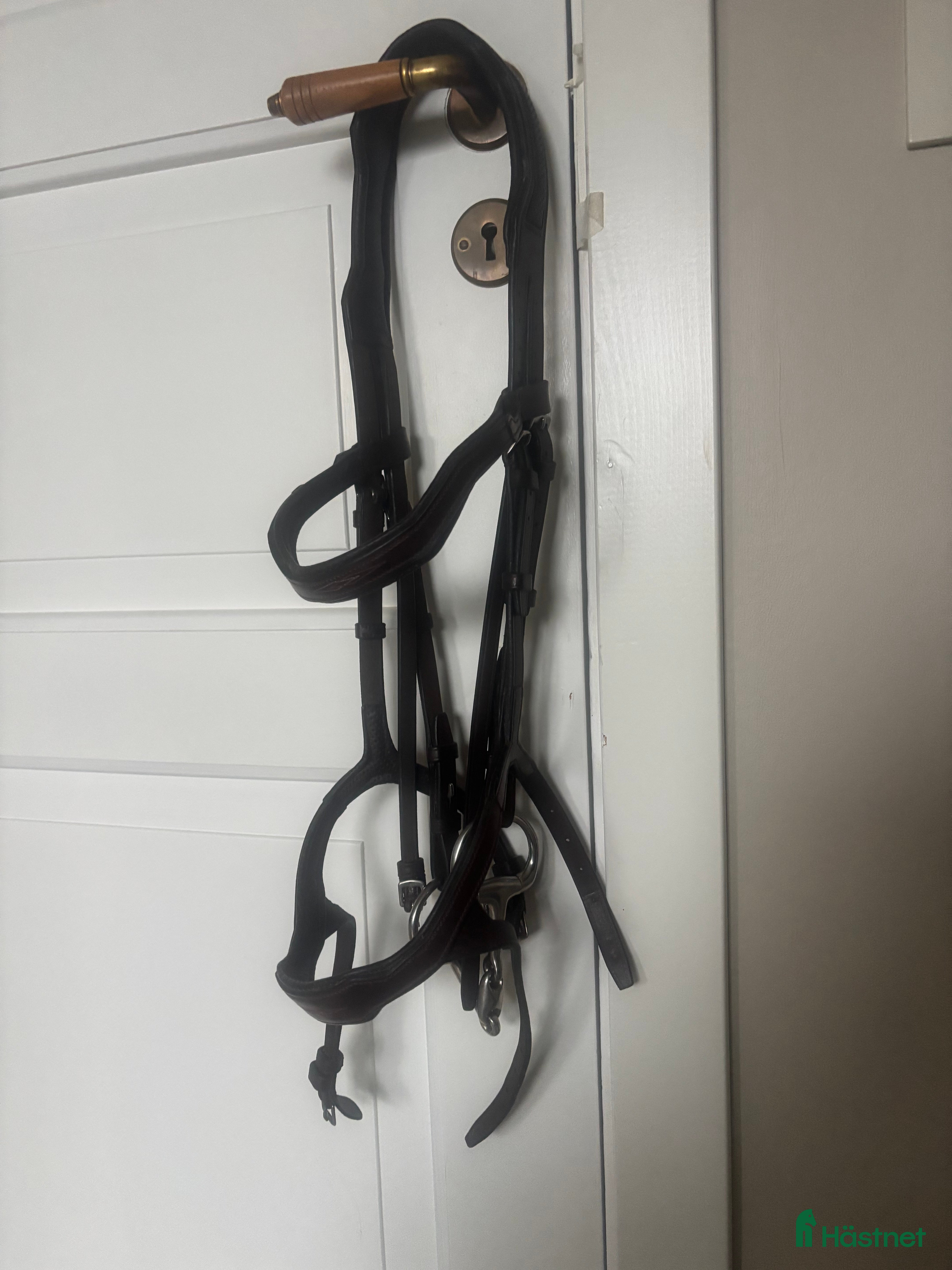 Träns hästutrustning till salu: Träns strl cob i Norrala - Annons 6