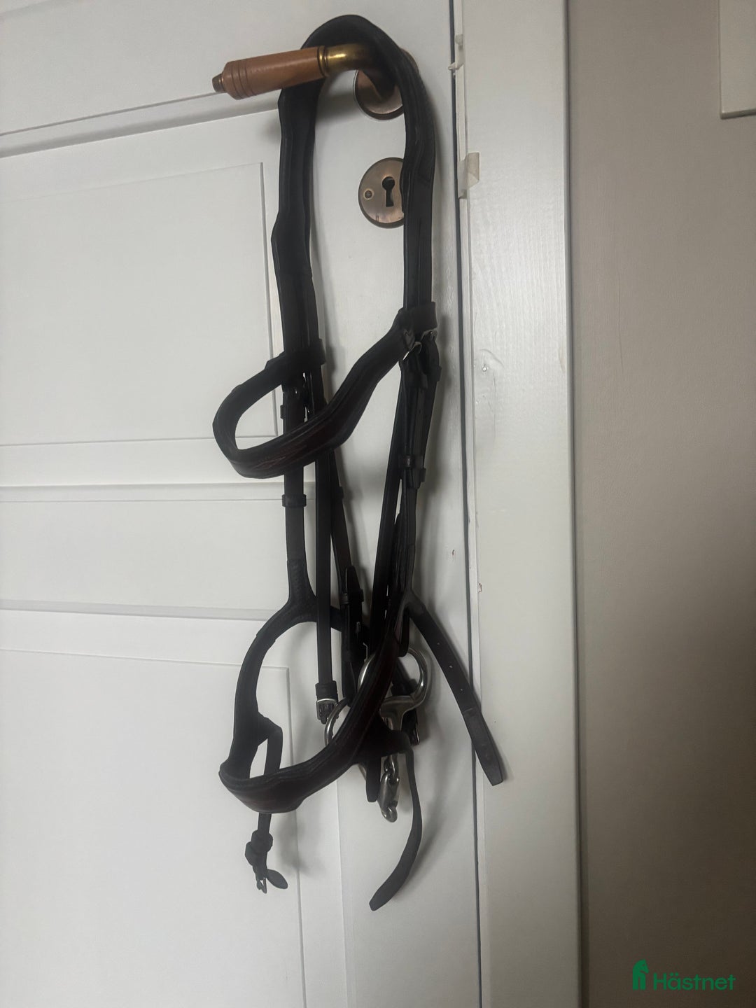 Träns hästutrustning till salu: Träns strl cob i Norrala - Annons 1