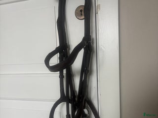 Träns hästutrustning till salu: Träns strl cob i Norrala - Annons 14