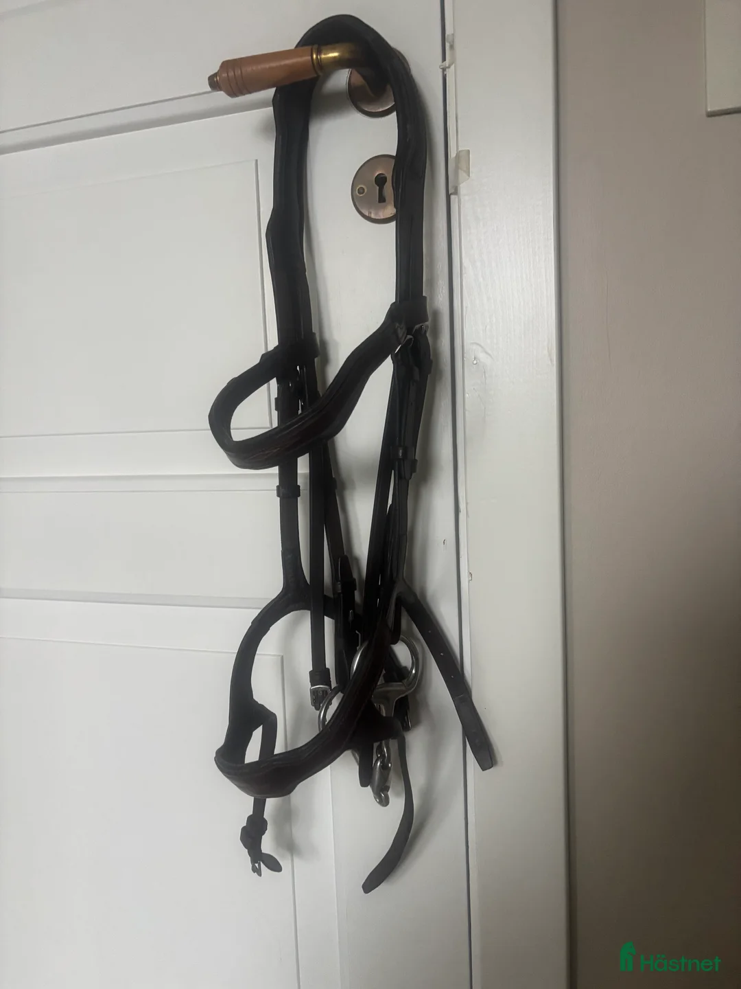 Träns hästutrustning till salu: Träns strl cob i Norrala - Annons 1