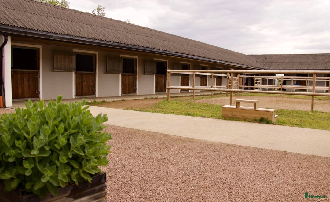  stallplats finnes: Stallplats i Eslöv i Eslöv - Bild 6