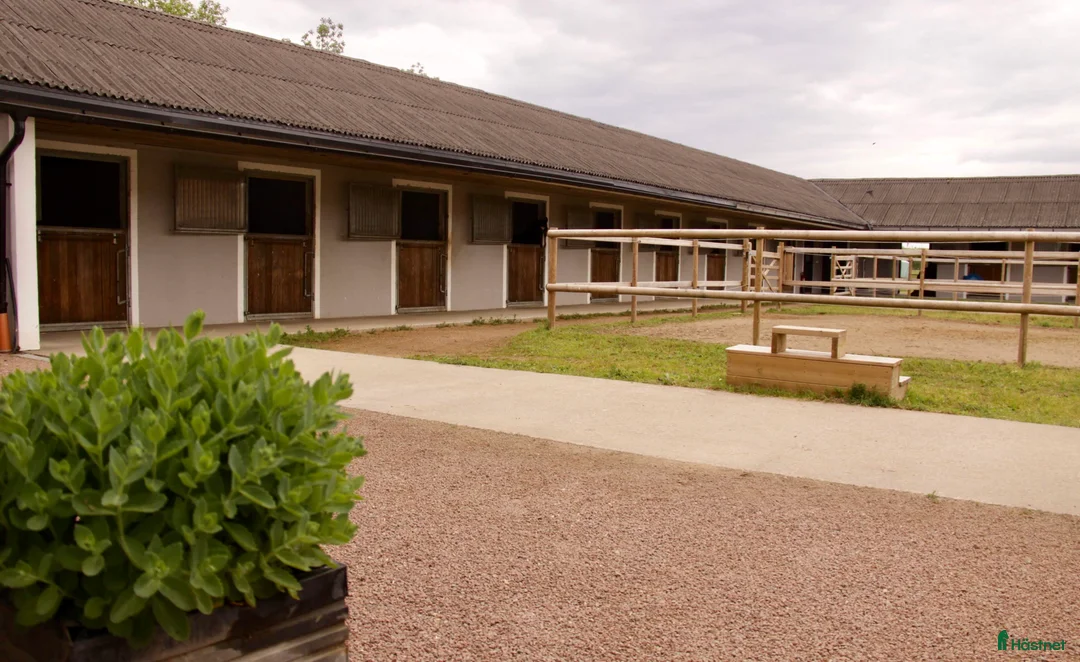  stallplats finnes: Stallplats i Eslöv i Eslöv - Annons 6