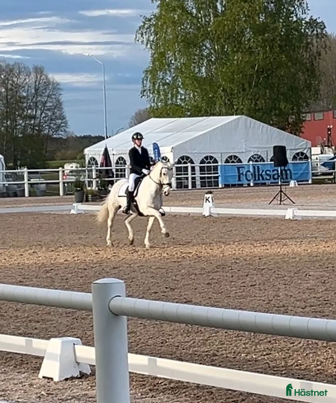 Allround hästar till salu: FEI-ponny med stort hjärta - Annons 2