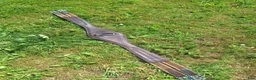 Sadeltillbehör hästutrustning till salu: Fin Sadelgjord 134 cm lång - Annons 1