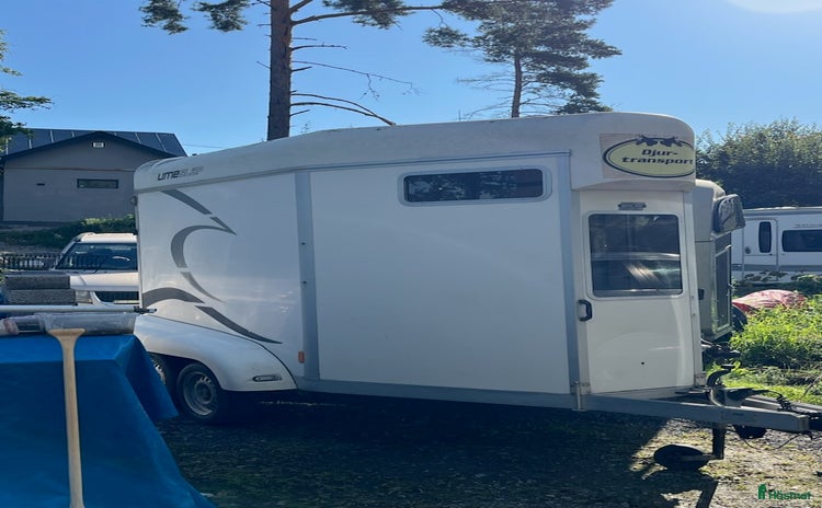 Hästtransporter  fordon & transport till salu i Märsta - Annons 6