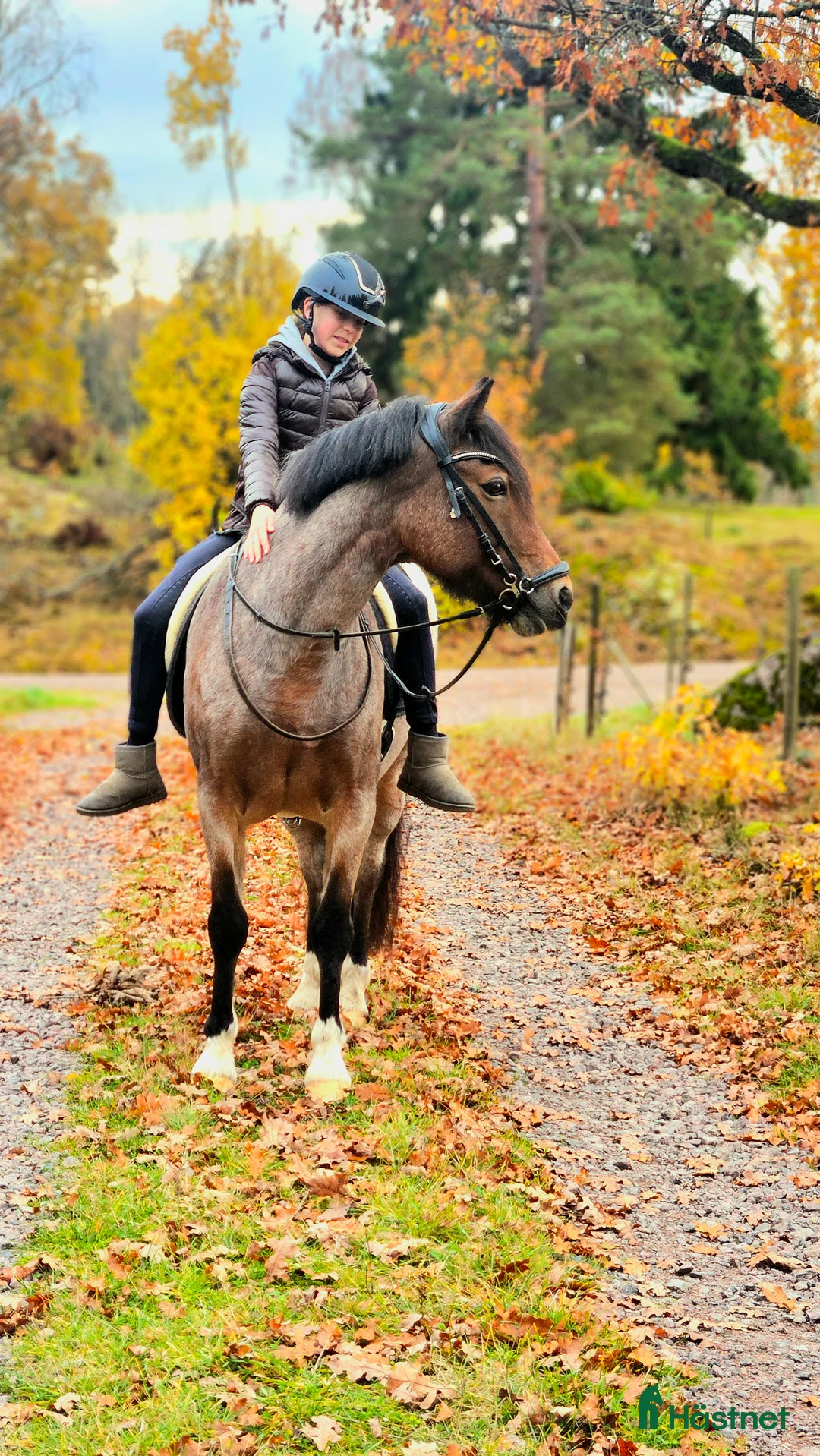 Galleribild {{count}}