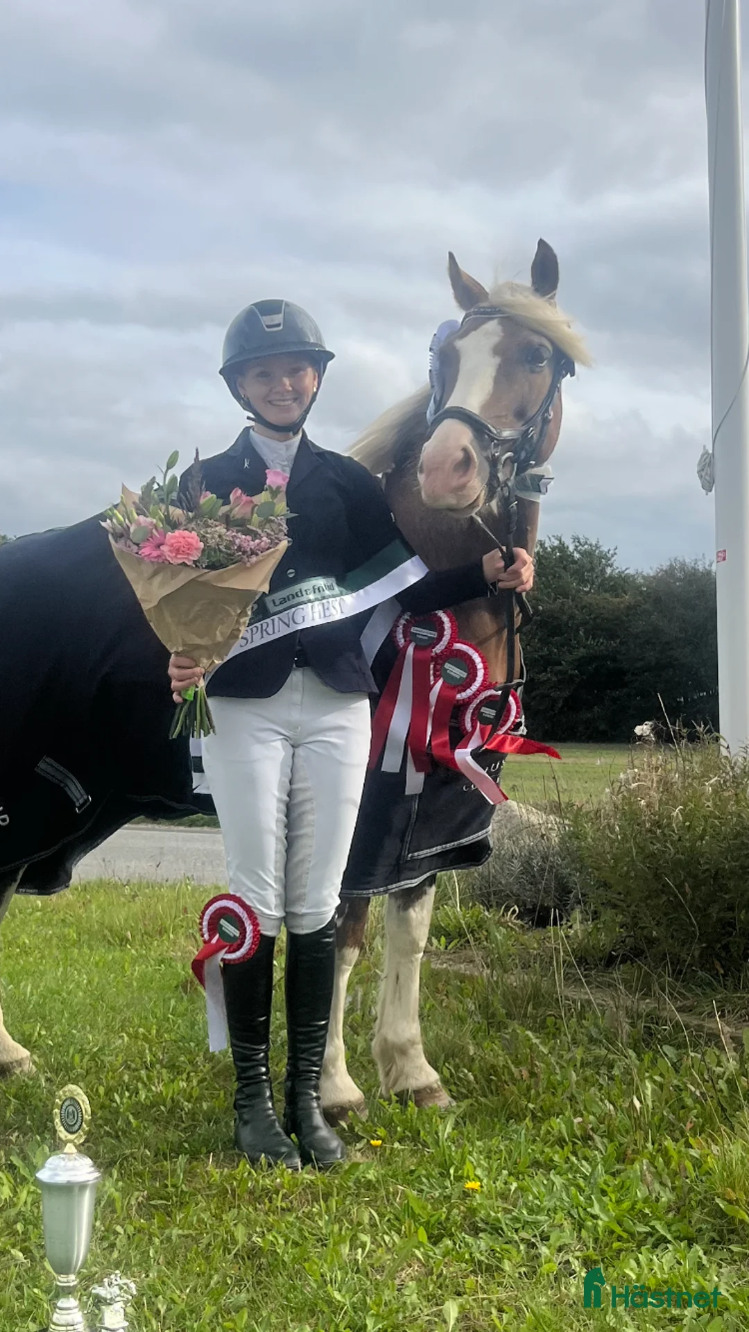 Hoppning hästar till salu: Stjernepony  - Annons 2