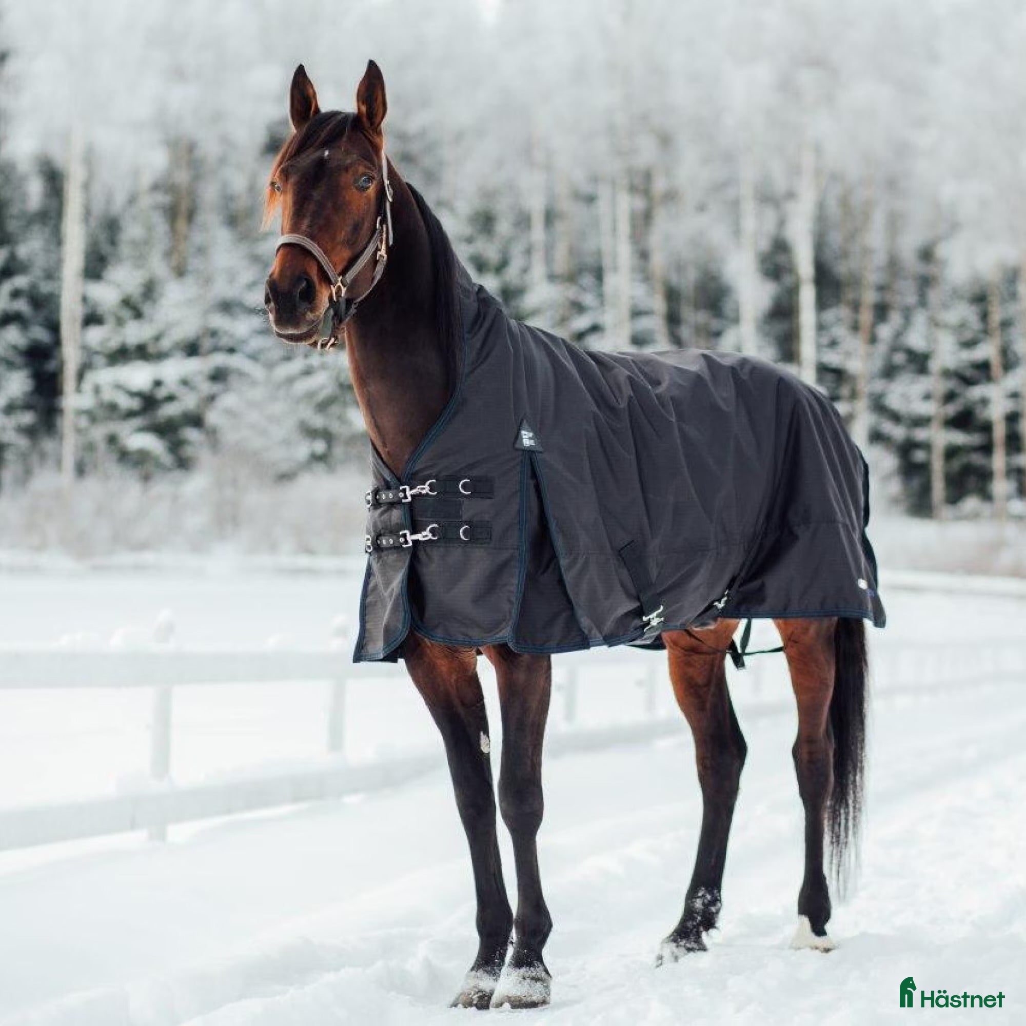Täcken hästutrustning FINNTACK VINTERTÄCKE HALVHALS 300g i Bunkeflostrand - Annons 4