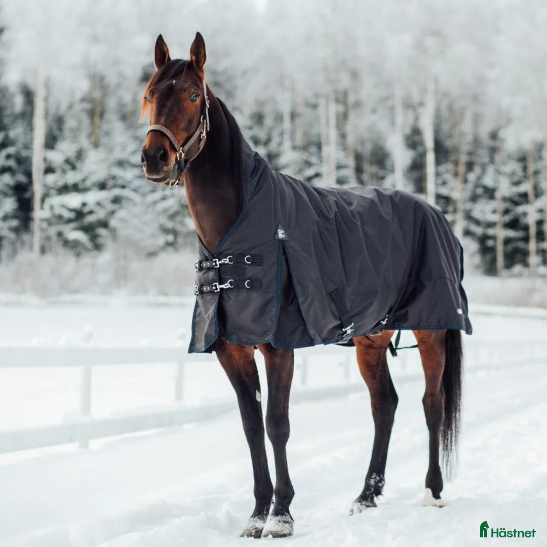 Täcken hästutrustning till salu: FINNTACK VINTERTÄCKE HALVHALS 300g i Bunkeflostrand - Annons 1
