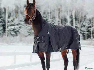 Täcken hästutrustning FINNTACK VINTERTÄCKE HALVHALS 300g i Bunkeflostrand - Annons 4