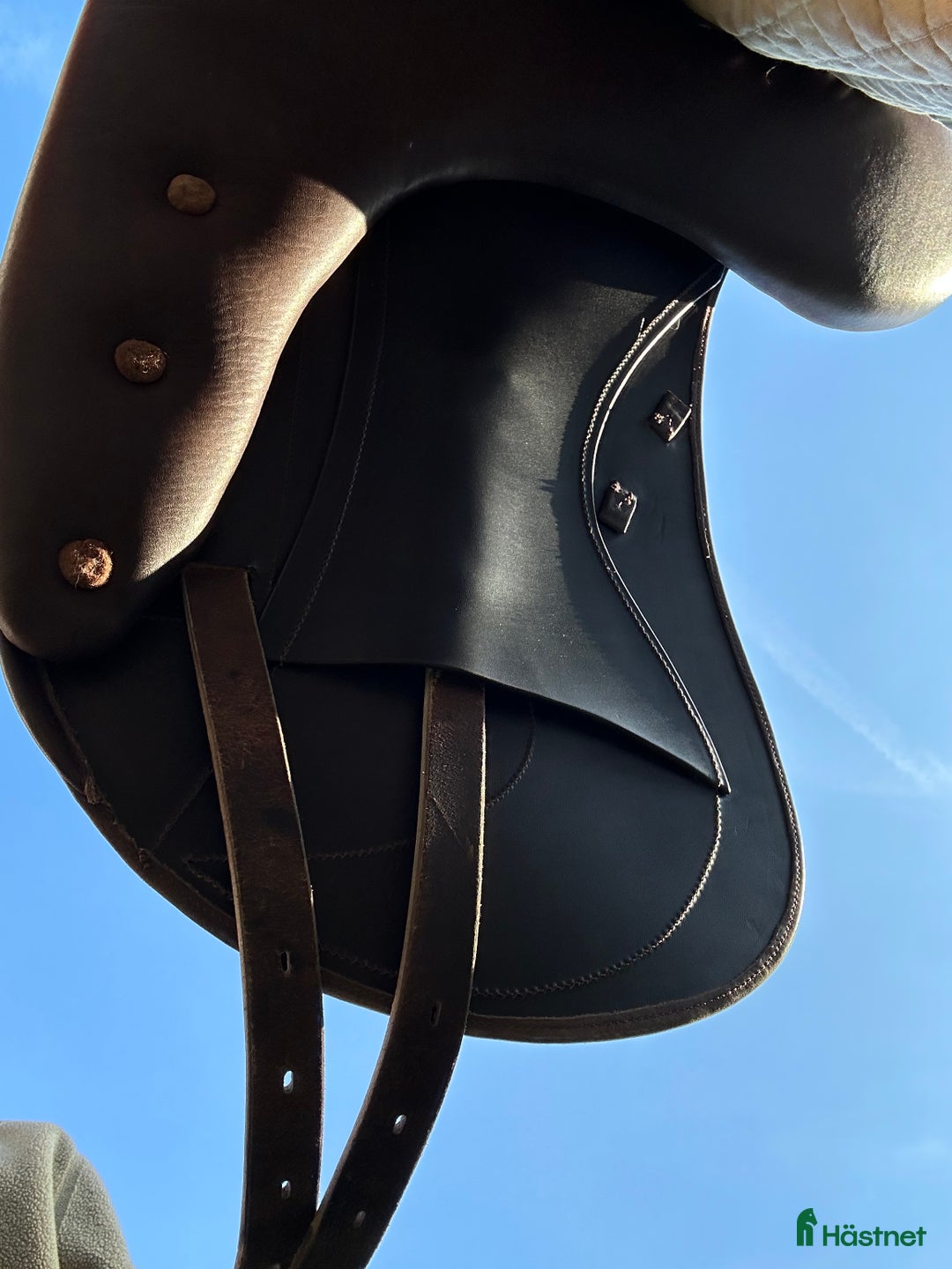 Sadlar hästutrustning till salu: Ordo Equester  i Backaryd - Annons 2