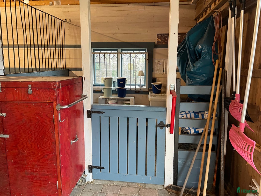  stallplats finnes: Stallplats i Djurmo/Gagnef i Djurmo - Annons 10