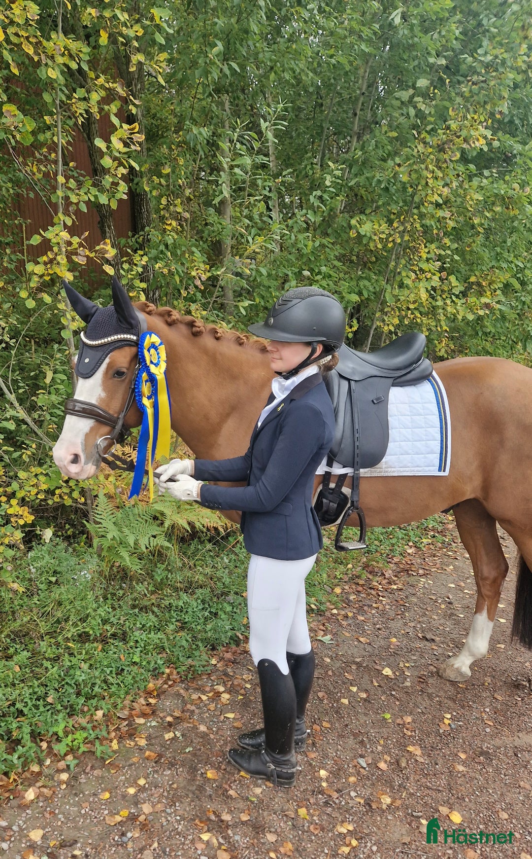 Galleribild {{count}}