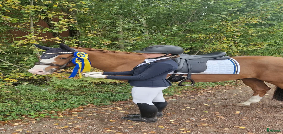 Galleribild {{count}}