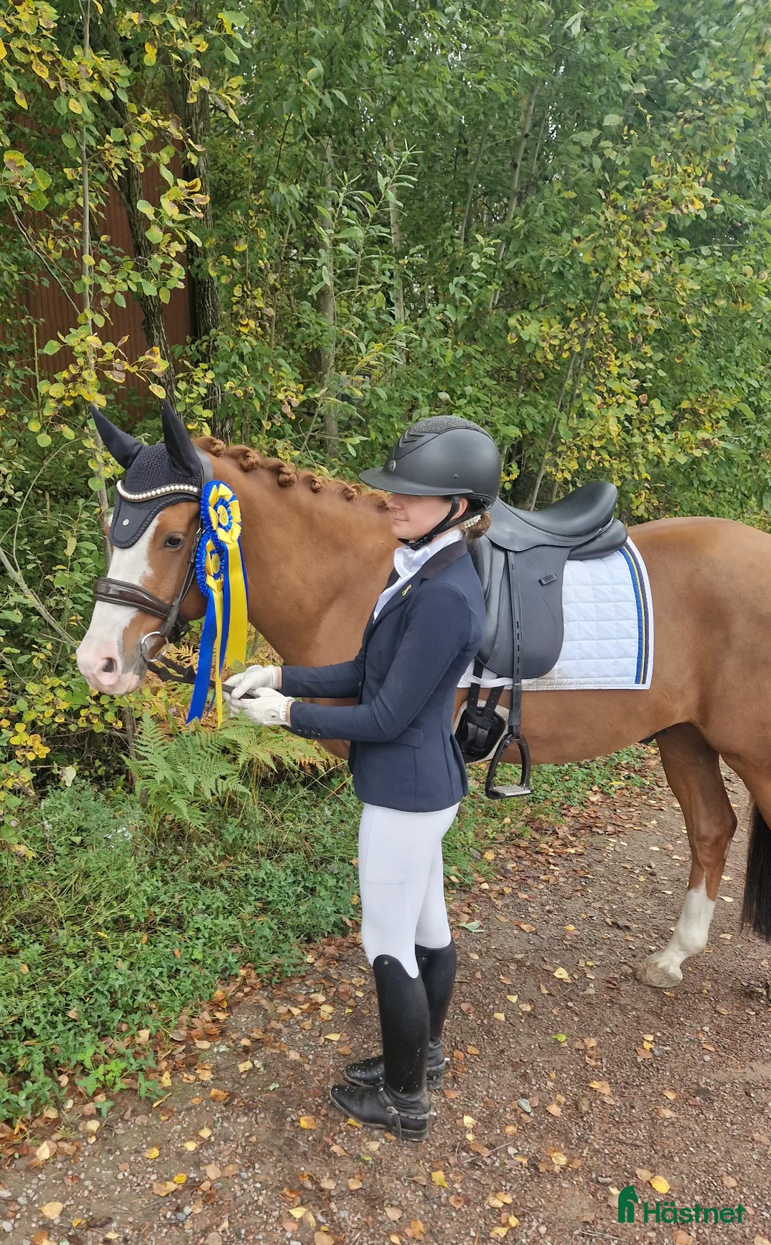 Galleribild {{count}}