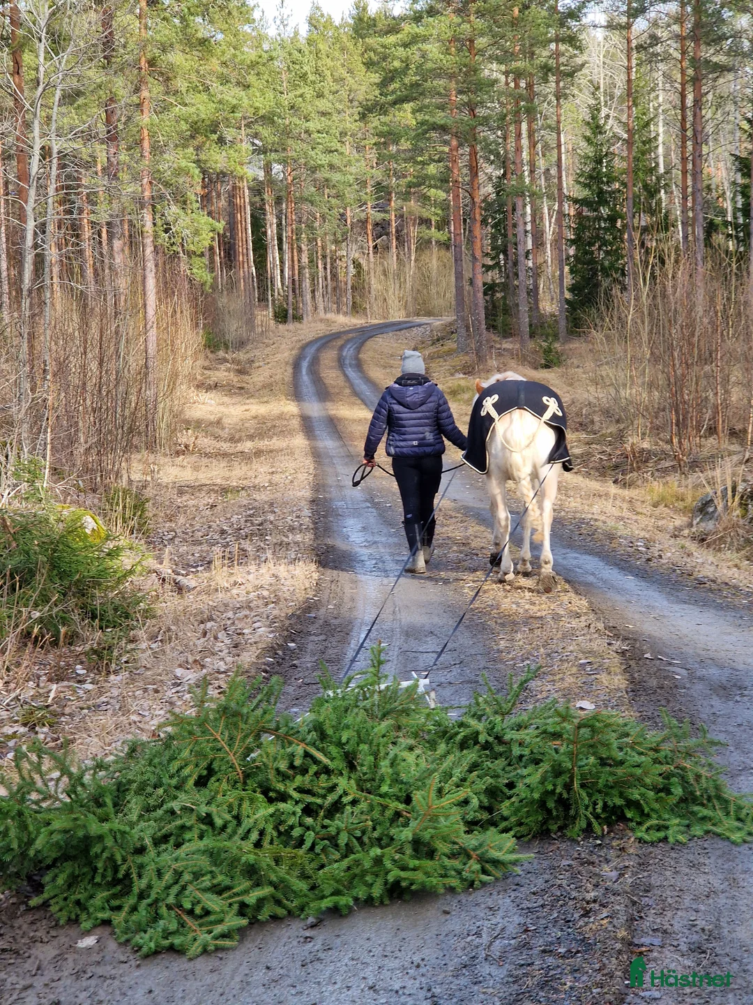  stallplats finnes: Boxplats med lång utevistelse - Annons 8