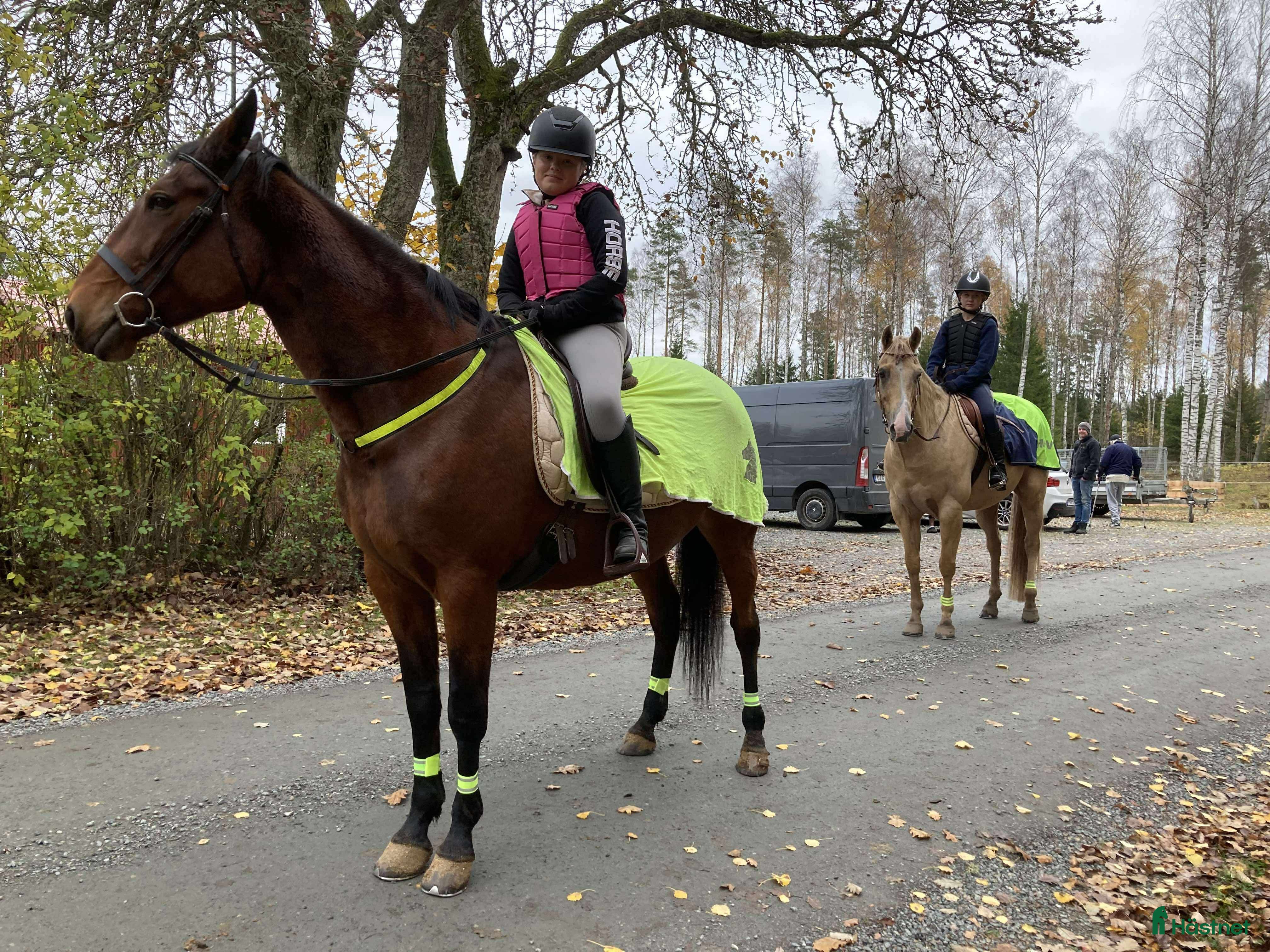 Täcken hästutrustning till salu: Söker Ländtäcke/ridtäcke till stor häst  i Vinninga - Annons 8