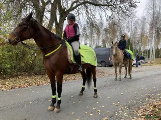 Täcken hästutrustning Söker Ländtäcke/ridtäcke till stor häst - Annons 23
