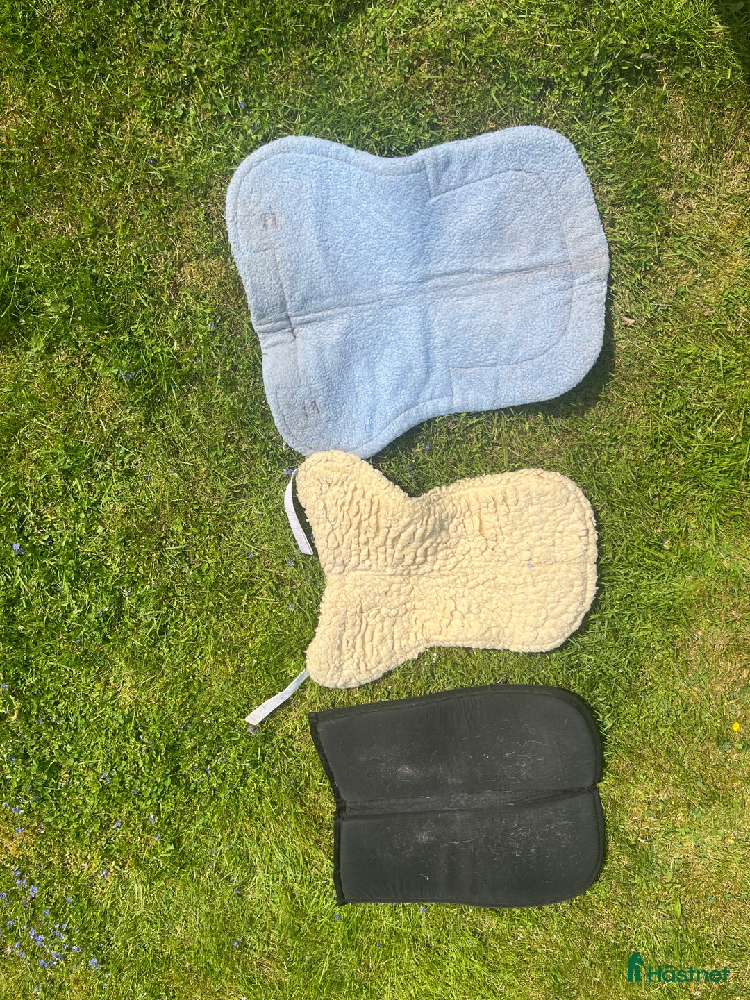 Sadeltillbehör hästutrustning till salu: Sadelpaddar  i Uppsala - Annons 3