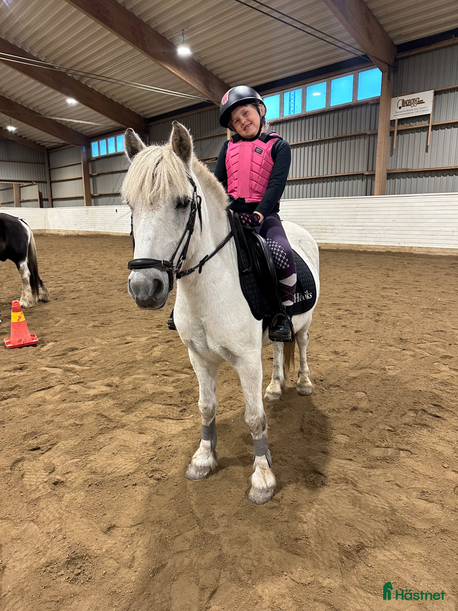  hästar B eller C-ponny sökes på foder - Annons 5