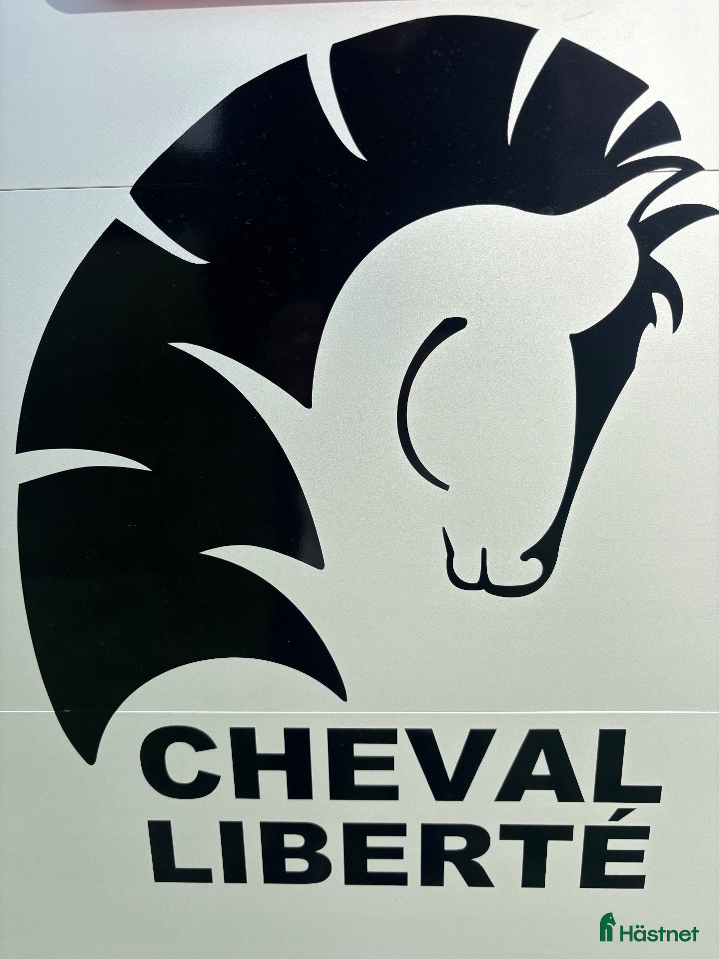 Hästtransporter  fordon & transport till salu: Cheval Origins - Annons 17