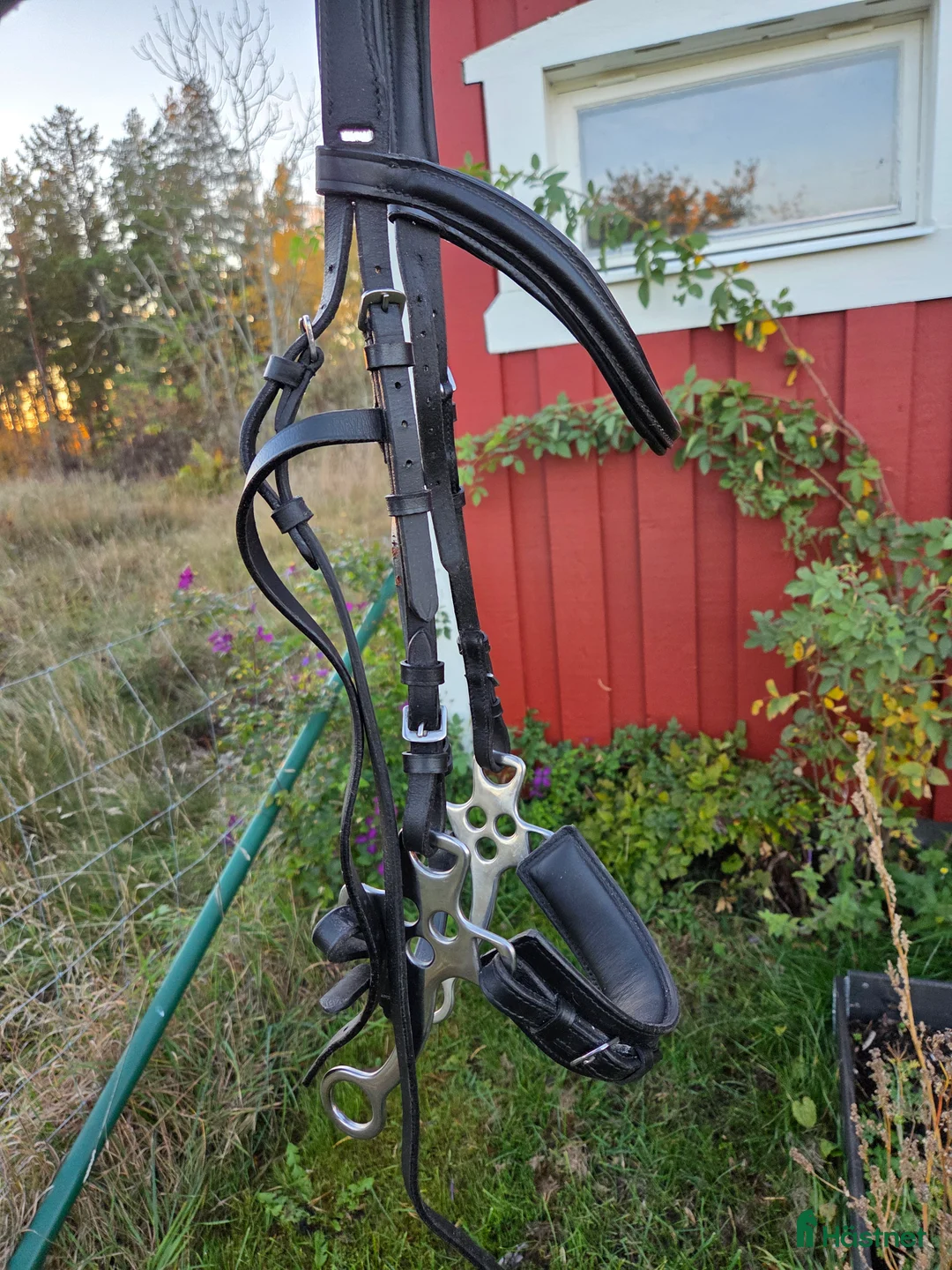 Träns hästutrustning till salu: Träns i Vikbolandet - Annons 2