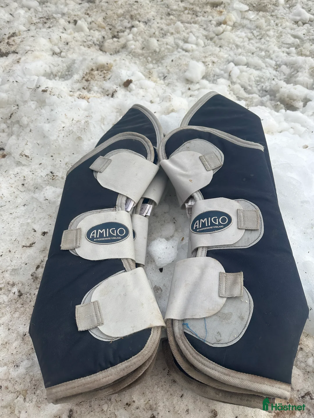 Övrig Hästutrustning hästutrustning till salu: Nya amigo transportskydd Cob  - Annons 4