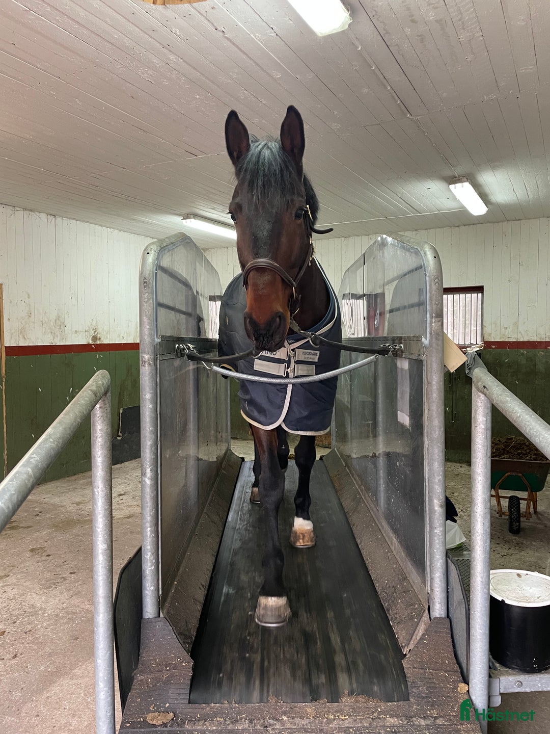  hästservice finnes: Hästhotell  i Nyköping - Annons 1