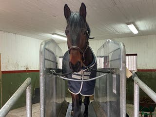 hästservice Hästhotell i Nyköping - Annons 5