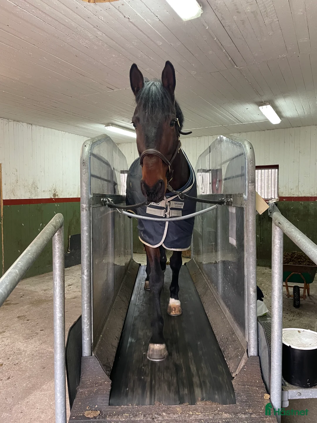  hästservice finnes: Hästhotell  i Nyköping - Annons 1