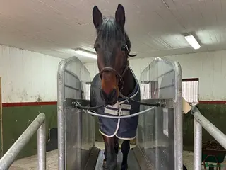 hästservice finnes: Hästhotell i Nyköping - Annons 1