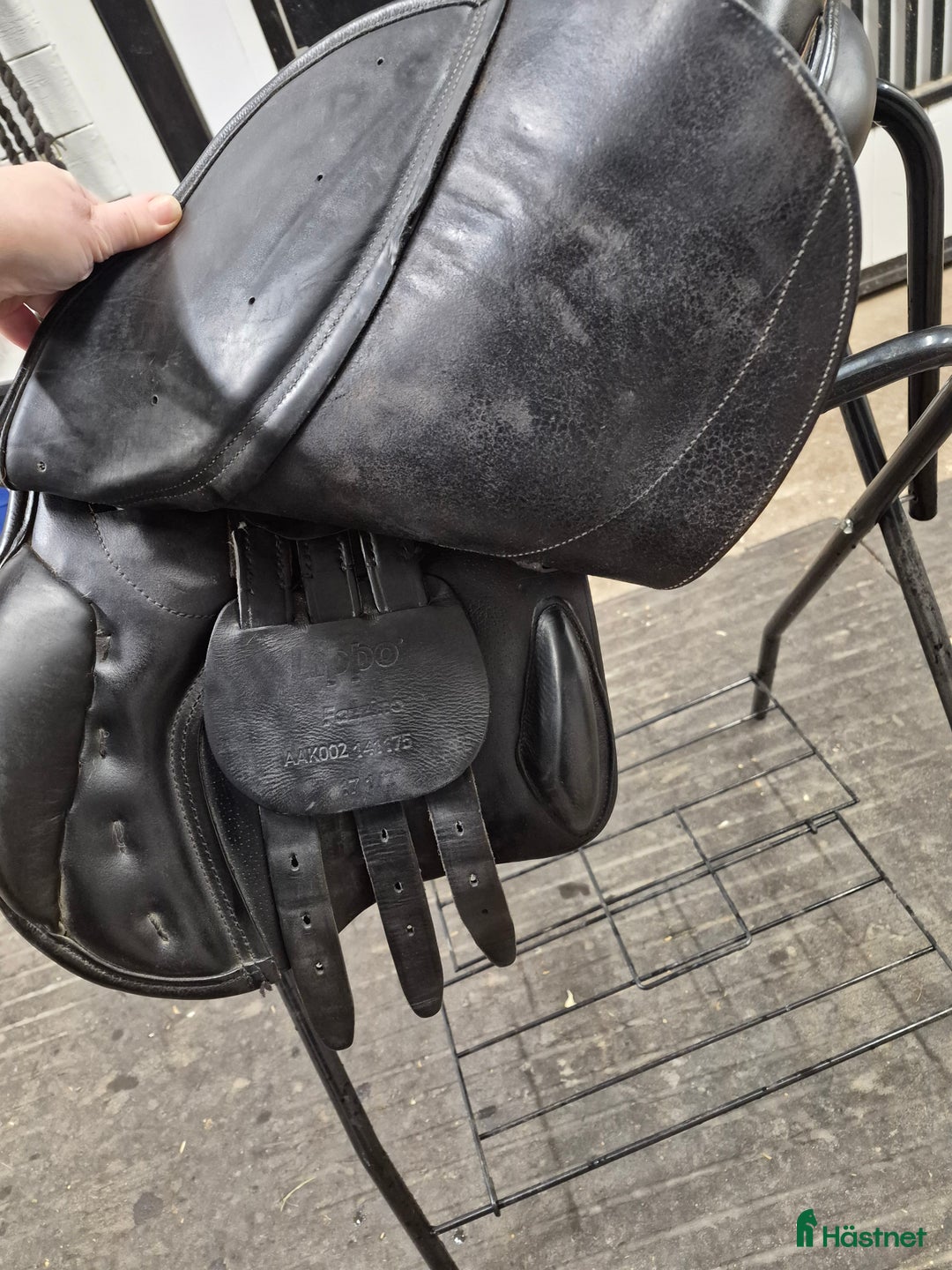 Sadlar hästutrustning till salu: Svart Lippo Fazzino  i Sundsvall - Annons 7