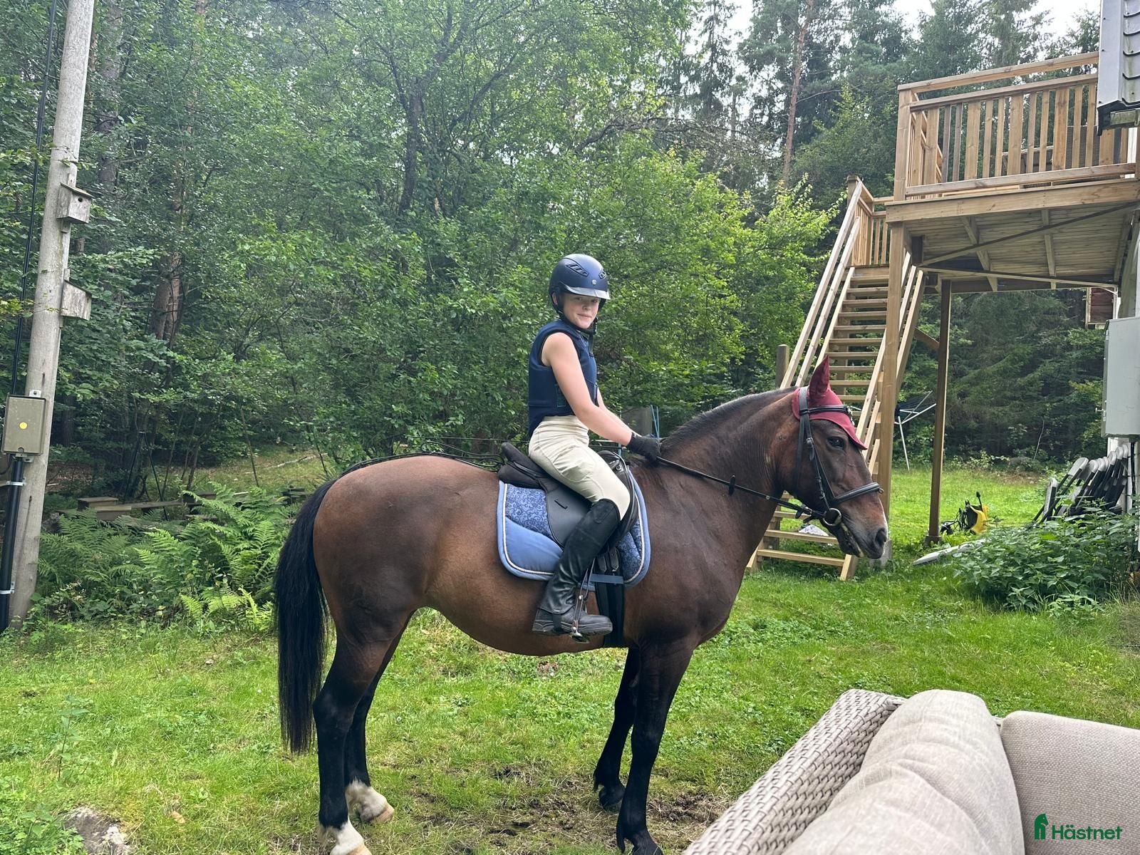  hästar Inez söker fodervärd - Annons 1
