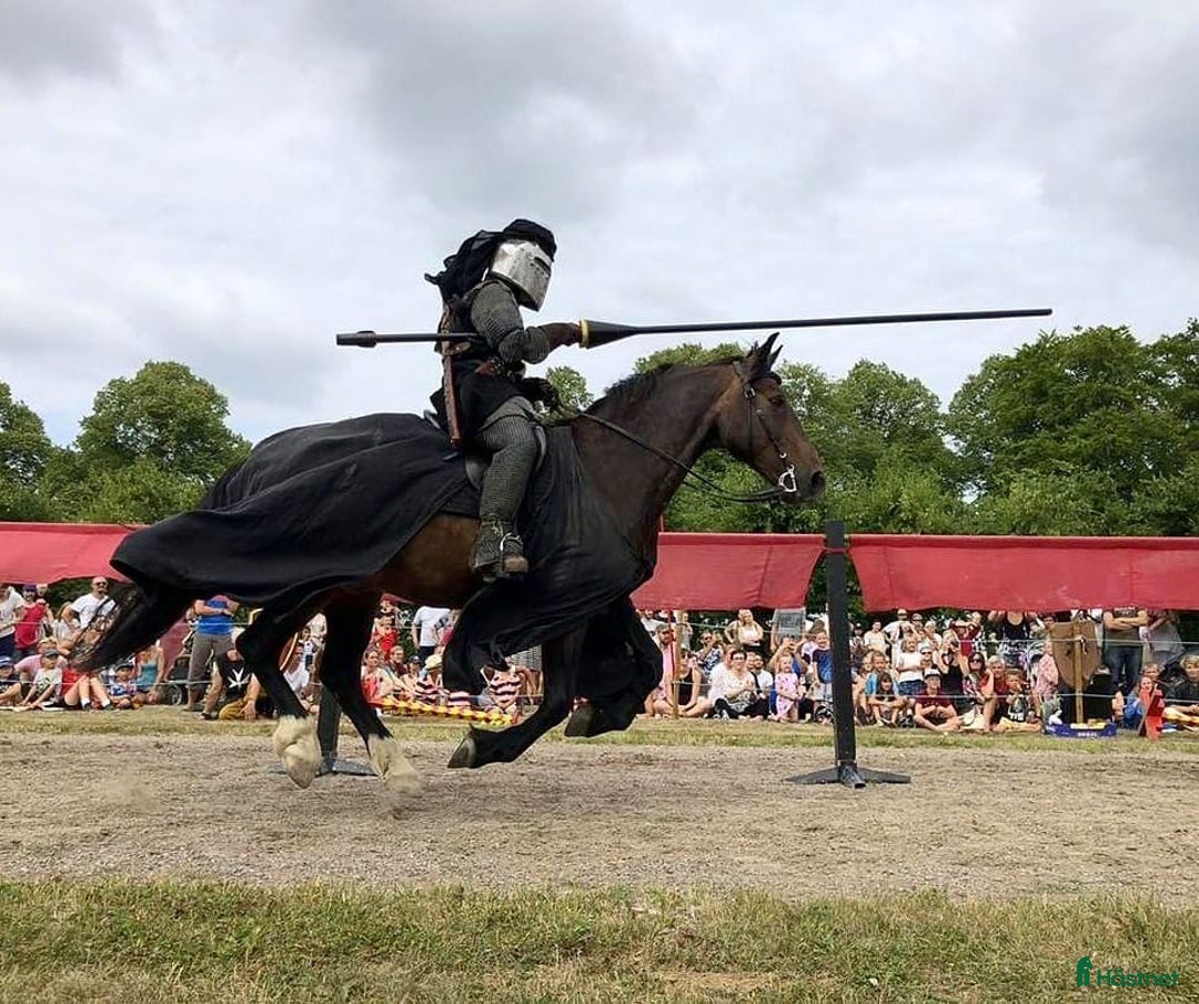 Galleribild {{count}}