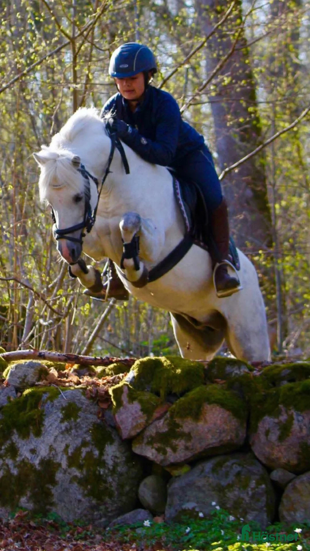  hästservice finnes: Samarbete  i Kållered - Annons 2