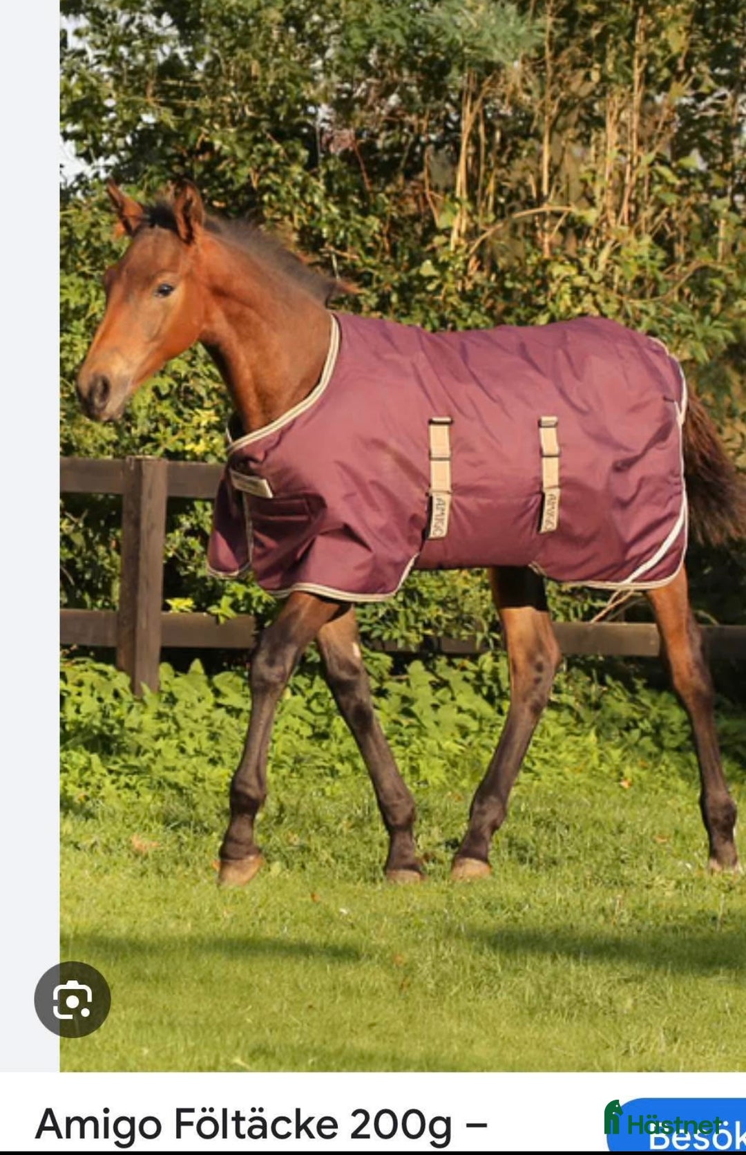 Täcken hästutrustning till salu: Föltäcke i Storfors - Annons 1