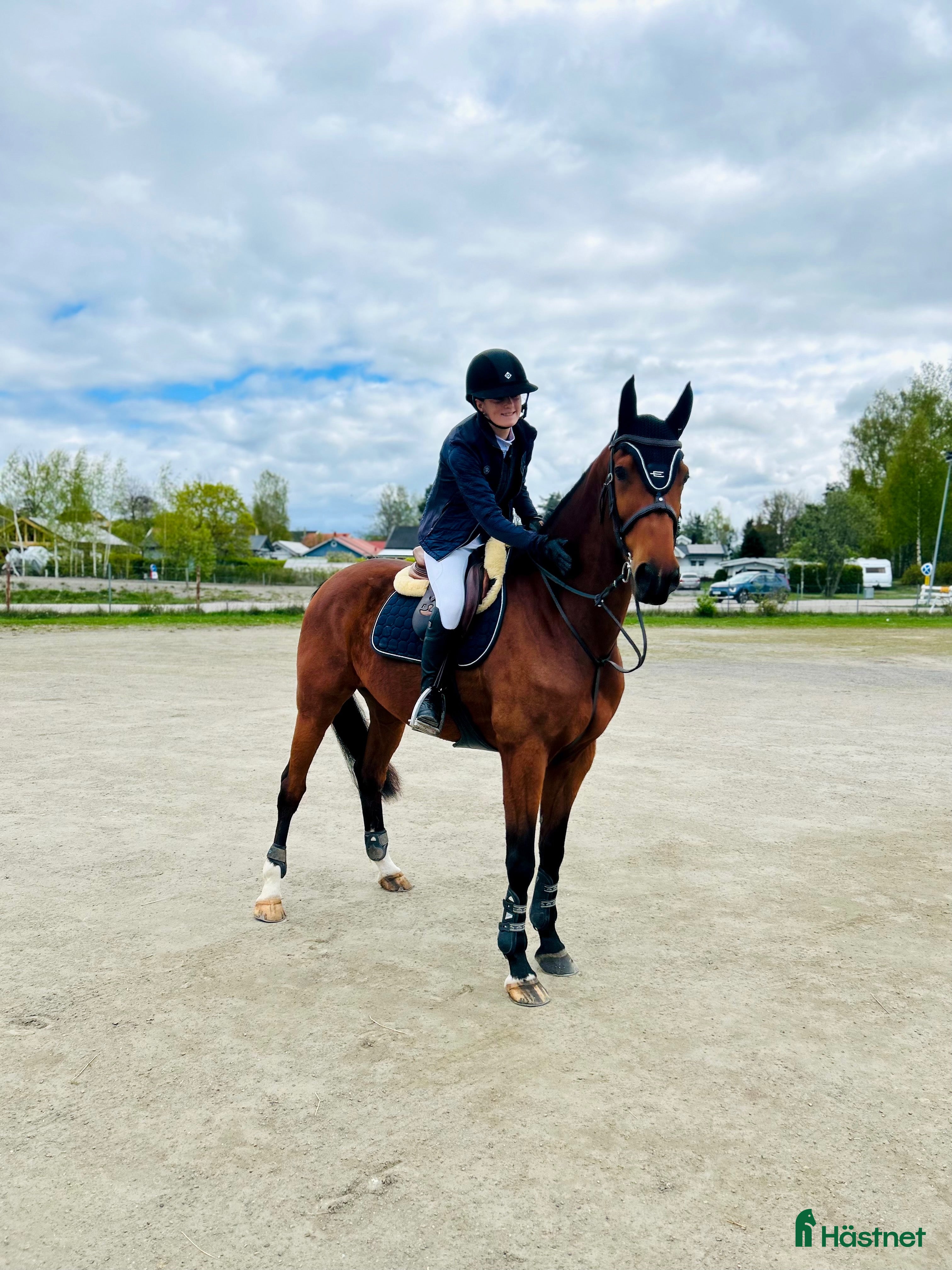  hästar Välstammad o snygg allround inriktning hoppning i Stallarholmen - Annons 14