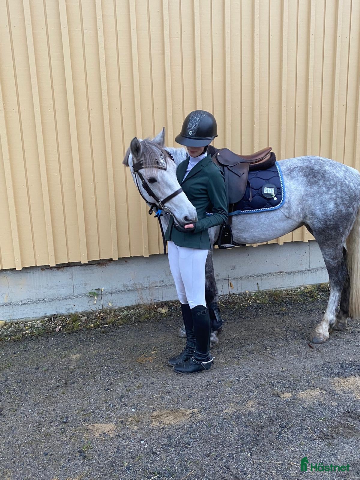  hästar Talangfull c-ponny  - Annons 9