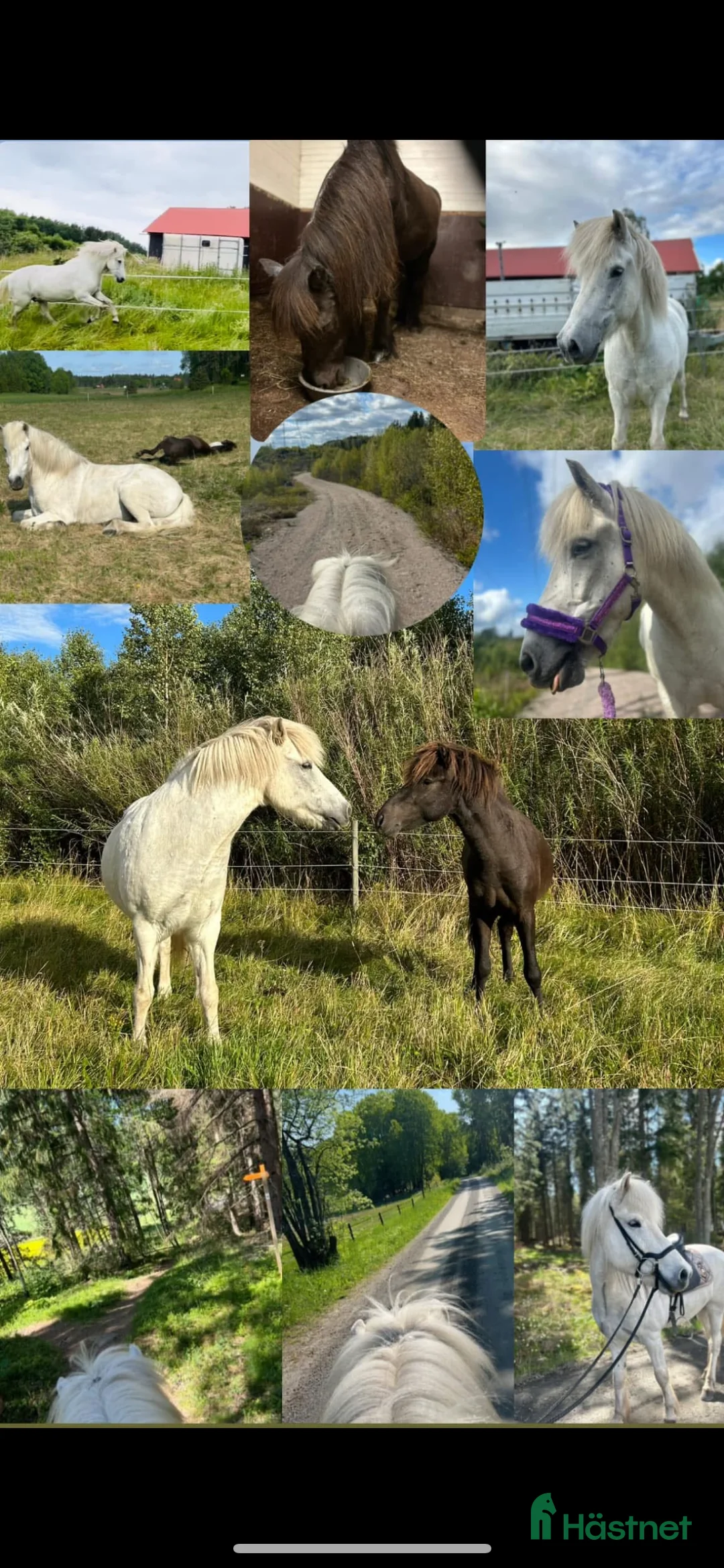  stallplats finnes: Lösdriftsplats• Knivsta - Annons 1