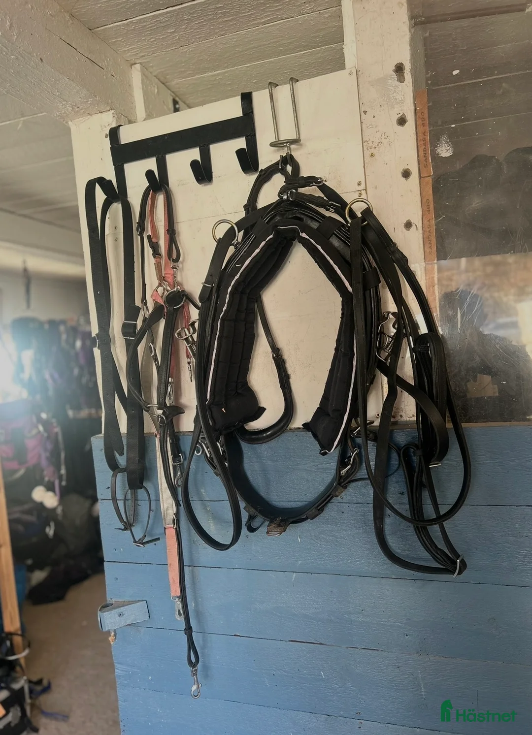 Travselar trav till salu: QH sele ponny i Sorunda - Annons 3