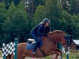 hästar Söker häst! - Annons 11