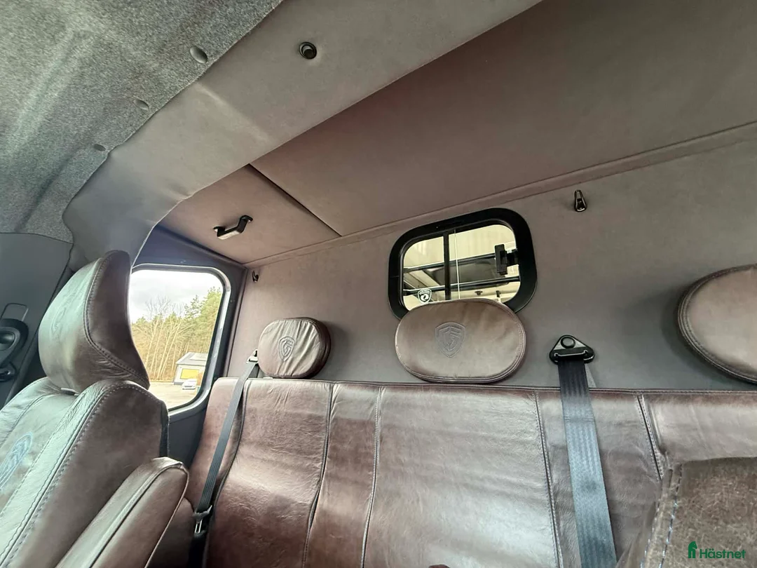 Hästlastbilar  fordon & transport till salu: PARAGAN EXCELSION 5XL STUTERI AUTOMAT - Annons 16