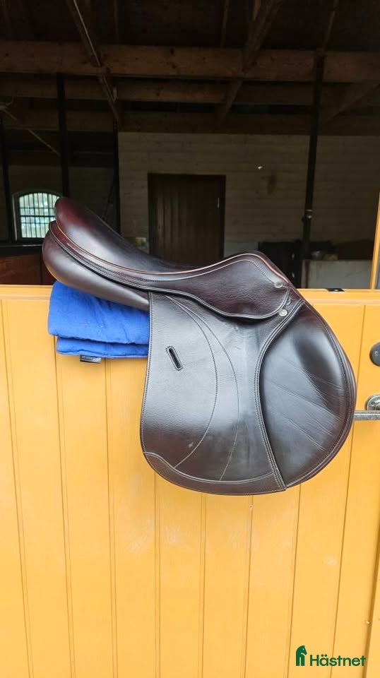 Sadlar hästutrustning Equipe Expression Special 17,5" - Annons 14