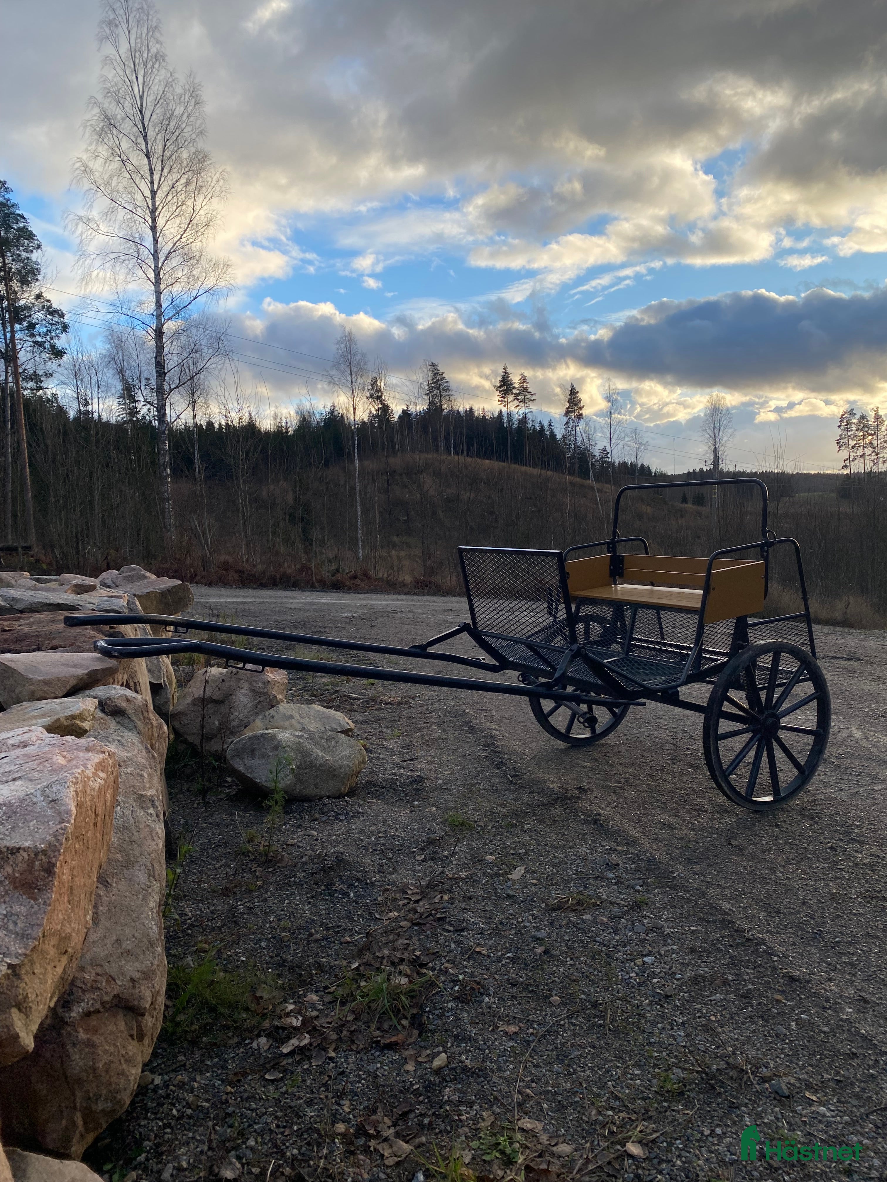 Körvagnar körning till salu: Körvagn för ponny - Annons 14