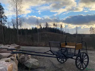 Körvagnar körning till salu: Körvagn för ponny - Annons 15