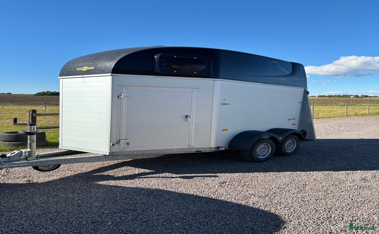 Hästtransporter  fordon & transport till salu i Åstorp - Annons 12