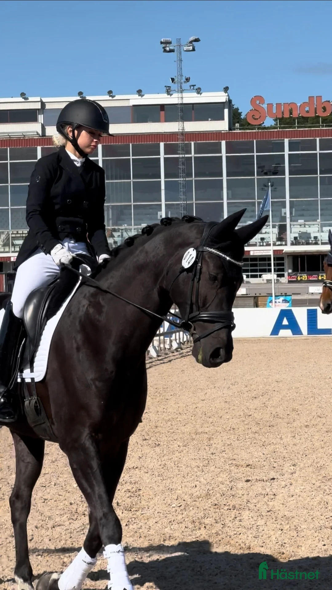  hästservice finnes: Tillridning och inridning av ponny i Stockholm 🌟 i Kista - Annons 3