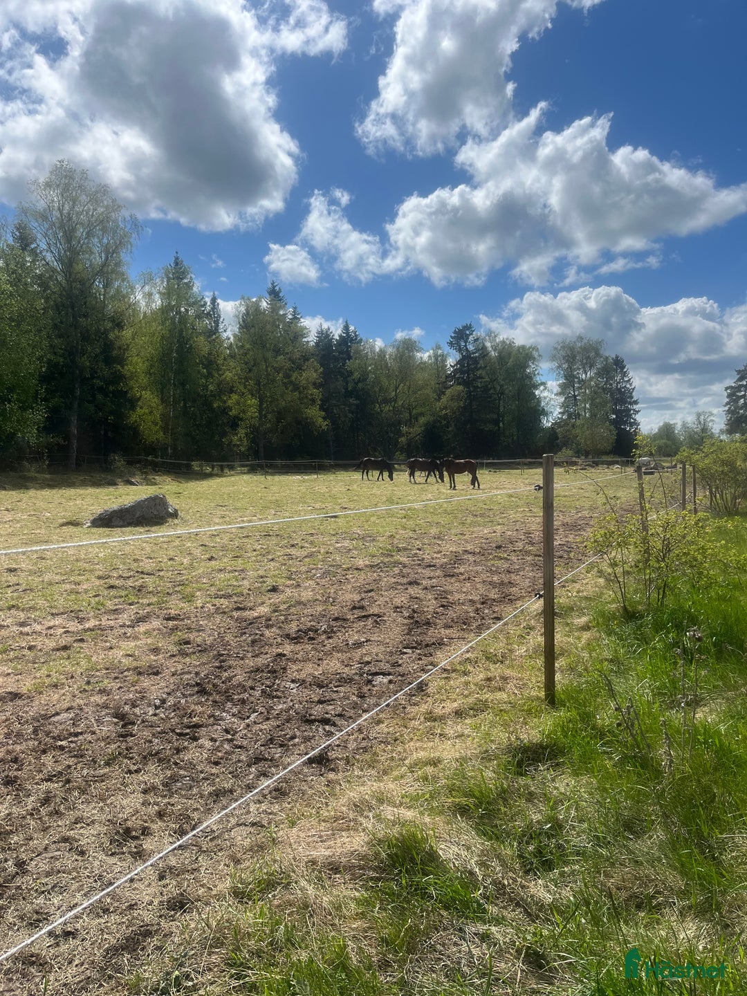  stallplats finnes: Lediga stallplatser  i Uppsala - Bild 7