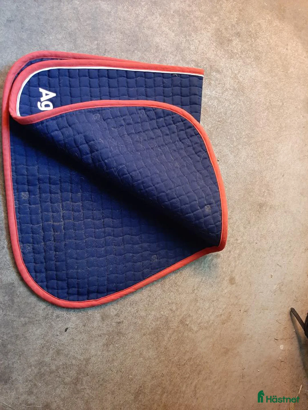 Schabrak & Vojlockar hästutrustning till salu: Agria schabrak  - Annons 2